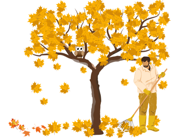 Gårdsstädning den 27 november